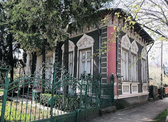 romania/teleorman/attraction/casa-mamut