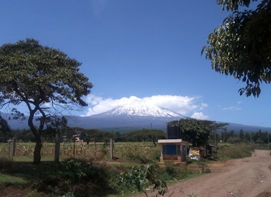 kenya/tsavo-region/attraction/killi-safaris