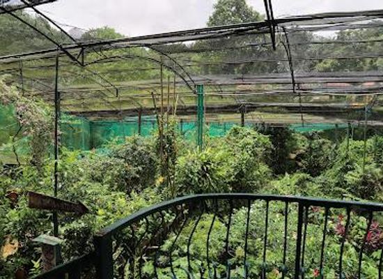 malaysia/kuala-lumpur/attraction/kuala-lumpur-butterfly-park