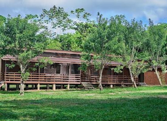 belize/hopkins/attraction/cockscomb-basin-wildlife-sanctuary