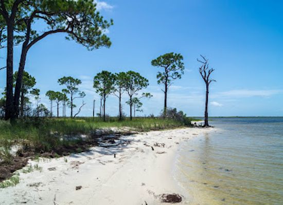 florida/panhandle/attraction/dr-julian-g-bruce-st-george-island-state-park