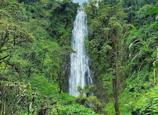tanzania/kilimanjaro-region/attraction/materuni-waterfalls-and-coffee-tours