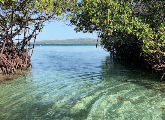 puerto-rico/la-parguera/attraction/eco-water-adventure