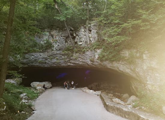 tennessee/highland-rim/attraction/the-caverns