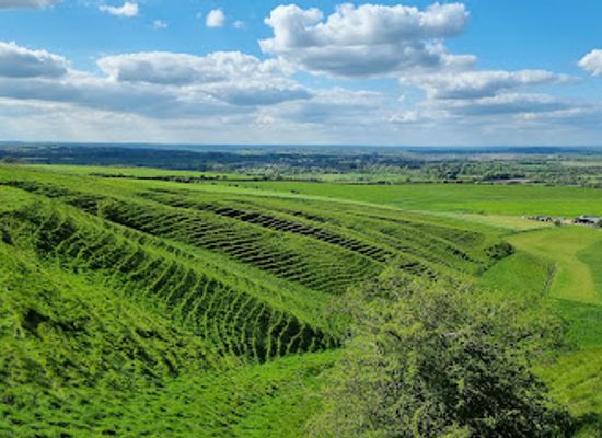 united-kingdom/wiltshire/attraction/morgan-s-hill