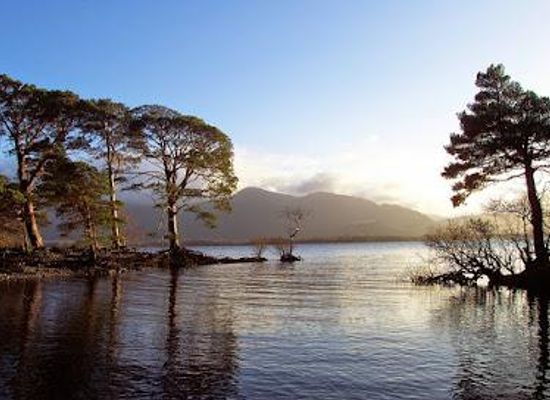 ireland/county-tipperary/attraction/paddywagon-tours