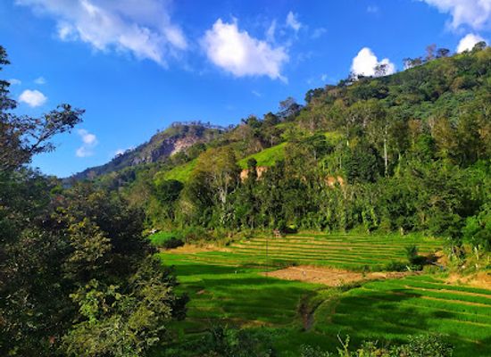 sri-lanka/badulla-district/attraction/halaba-steel-bridge