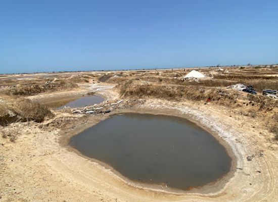 senegal/sine-saloum-delta/attraction/puits-de-sel-de-palmarin
