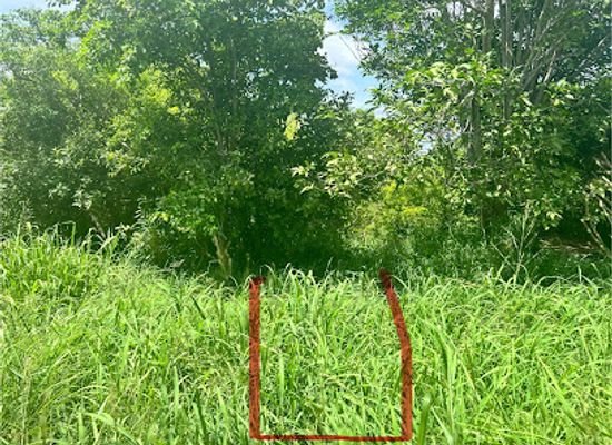 puerto-rico/culebra-island/attraction/playa-resaca-trailhead