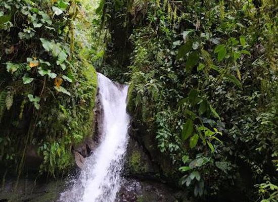 ecuador/quito/attraction/mindo-valley