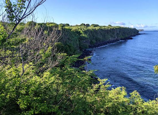 mauritius/flic-en-flac/attraction/farview-point
