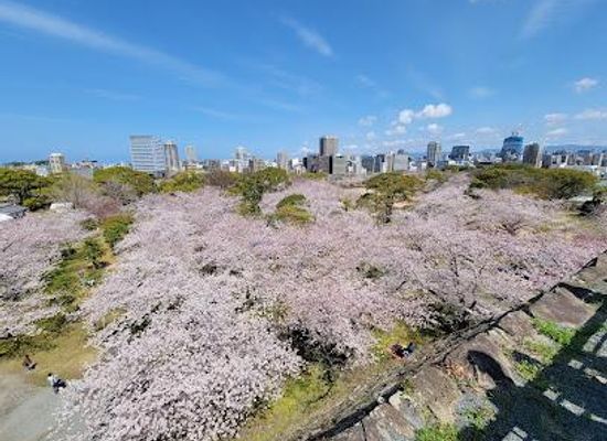 japan/fukuoka/attraction/maizuru-park