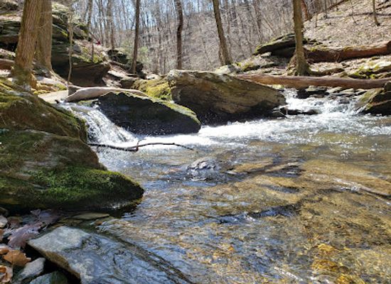 pennsylvania/lower-susquehanna-valley/attraction/climbers-run-nature-center