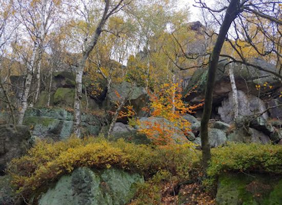 czechia/elbe-sandstone-mountains/attraction/pramen-sneznickeho-potoka