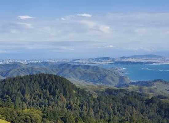 california/walnut-creek/attraction/mount-tamalpais-state-park