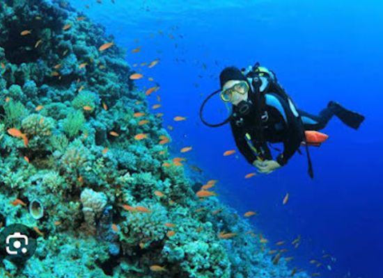 india/western-ghats/attraction/malvan-scuba-diving