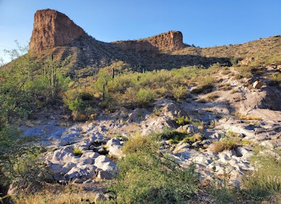 arizona/tonto-national-forest/attraction/acacia-recreation-site