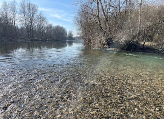 slovenia/drava/attraction/drava-bijela-obala
