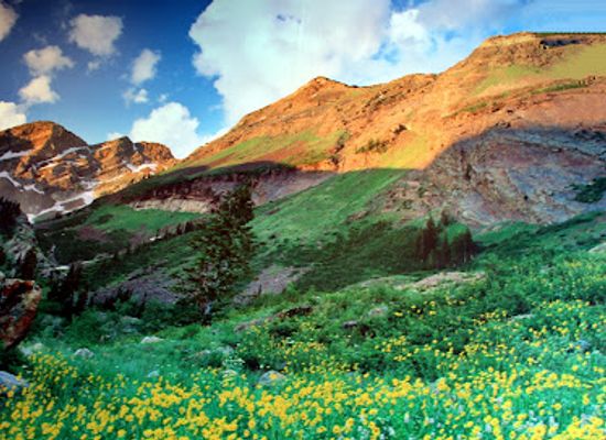 utah/bear-river-valley/attraction/natural-history-museum-of-utah