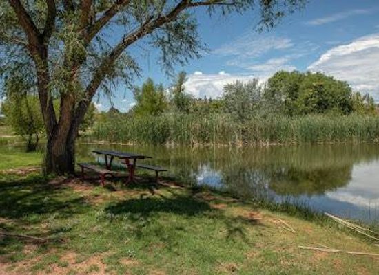 arizona/prescott/attraction/dead-horse-ranch-state-park