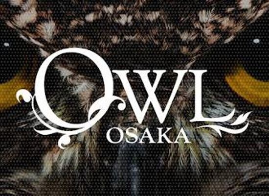 japan/kinki-kansai/attraction/owl