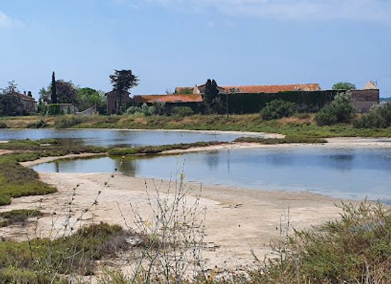 france/languedoc-coast/attraction/natural-reserve-bagnas