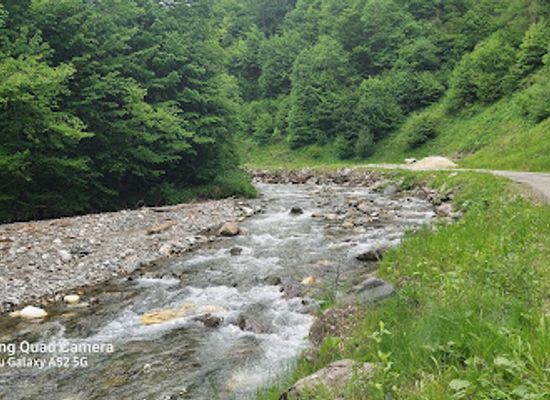 romania/bistrita-nasaud/attraction/cascada-cucului