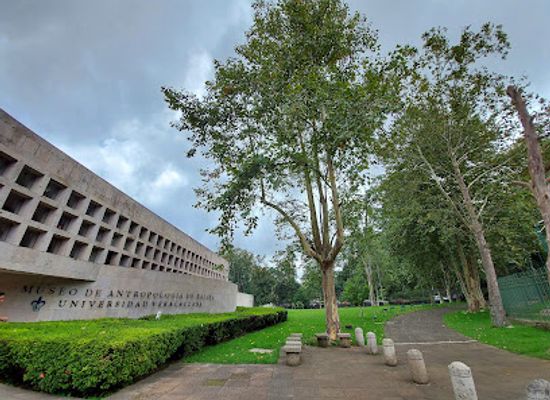 mexico/veracruz/zona-dorada/attraction/museo-de-antropologia-de-xalapa