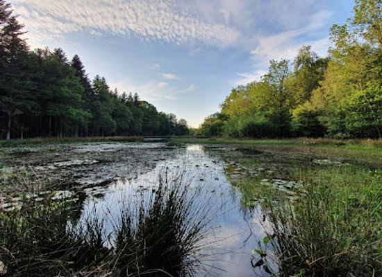 netherlands/drenthe/attraction/sleenerzand