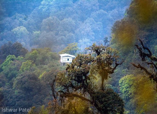india/assam/attraction/eaglenest-wildlife-sanctuary
