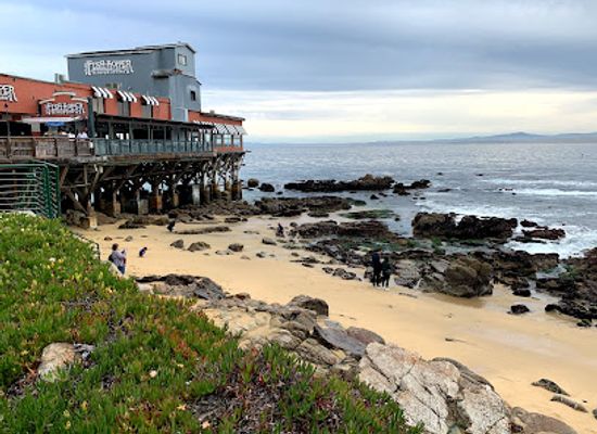 california/salinas-valley/attraction/mcabee-beach