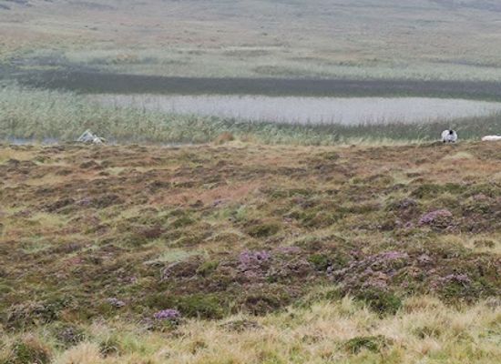 ireland/slieve-league-cliffs/attraction/pilgrim-s-path-start-point
