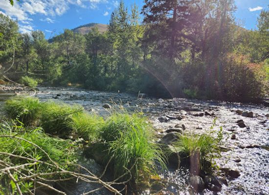 montana/missoula/attraction/greenough-park