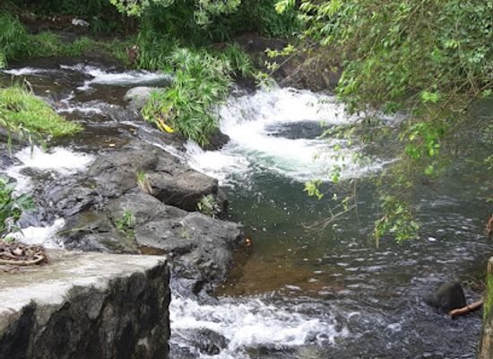 mauritius/plaines-wilhems/attraction/froberville-lane