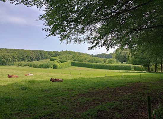 netherlands/arnhem/attraction/landgoed-mariendaal