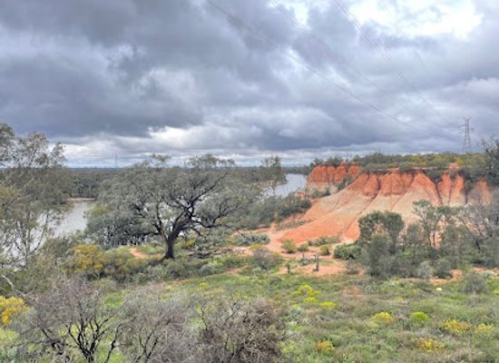 australia/mallee/attraction/red-cliffs-scenic-reserve