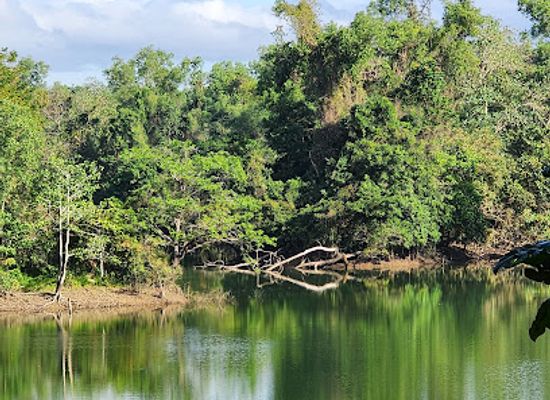 philippines/national-capital-region-ncr/attraction/la-mesa-nature-reserve