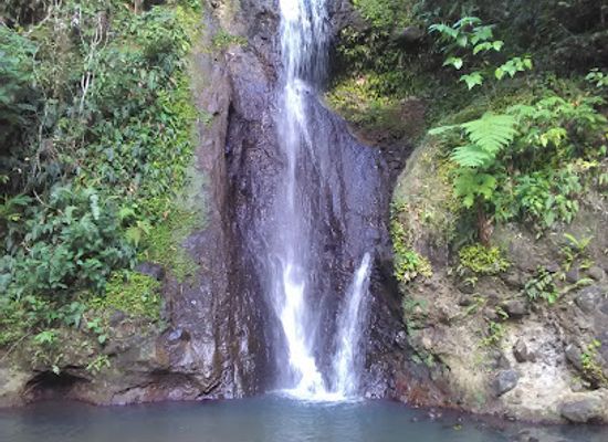 saint-lucia/laborie-quarter/attraction/macdomel-waterfall
