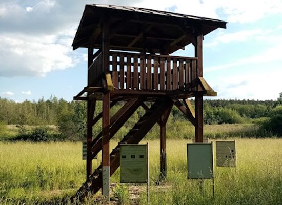 germany/upper-palatinate/attraction/aussichtsturm-biberlehrpfad