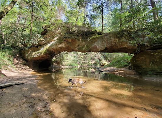 kentucky/eastern-mountain-coal-fields/attraction/creation-falls