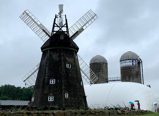 germany/mecklenburg/attraction/agroneum-alt-schwerin