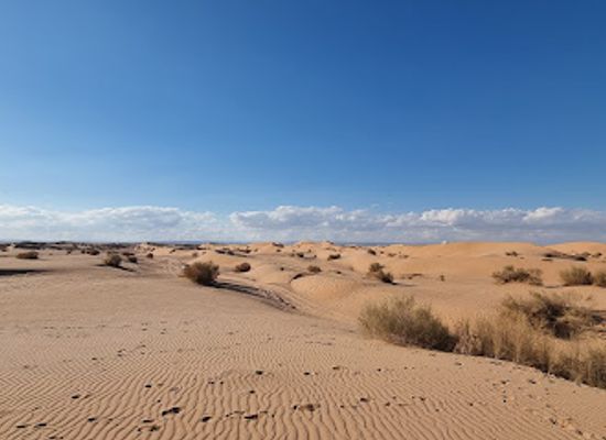 jordan/dana/attraction/dunes-of-wadi-araba