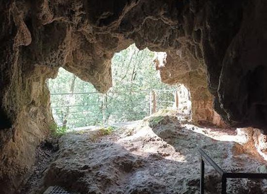 spain/catalonia/attraction/arqueoparc-coves-de-serinya
