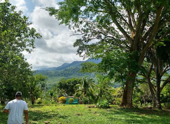 costa-rica/brunca-region/attraction/sitio-arqueologico-batambal