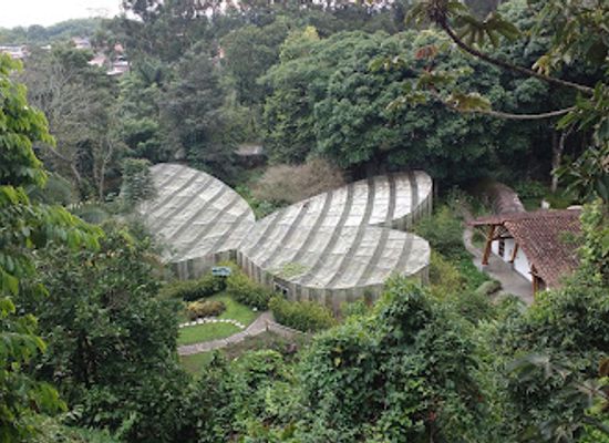 colombia/quindio-department/attraction/quindio-botanical-garden