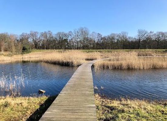 netherlands/amersfoort/attraction/goois-natuurreservaat