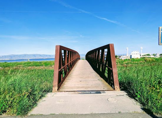 california/mountain-view/attraction/stevens-creek-shoreline-nature-study-area-preserve