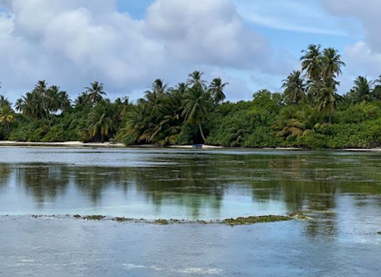 maldives/hithadhoo-island/attraction/hithadhoo-mangrove