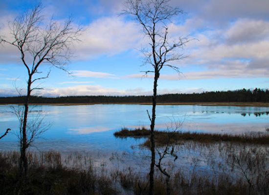 sweden/jamtland/attraction/hamra-national-park