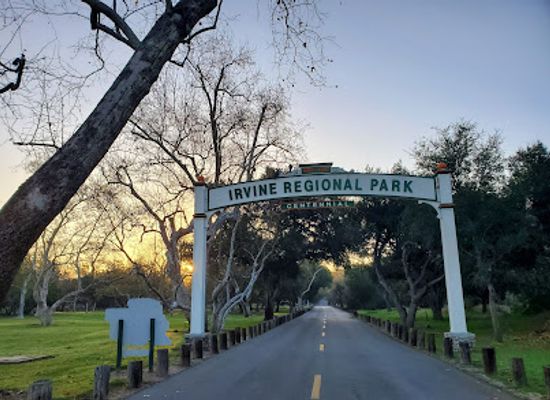 california/irvine/attraction/irvine-regional-park